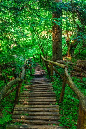 Wooden stairs leading downの写真素材