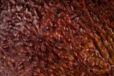 Simple ripe fresh avocado fruit skin background texture, macro, rough brown green dark surface...