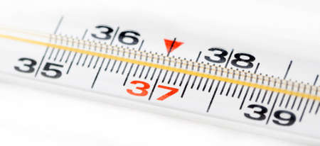 Mercury in glass thermometer scale macro, object closeup, centered on red 37 celsius. Measuring temperature, old device, non-electronic classic traditional medical home use measurement tool, nobodyの写真素材