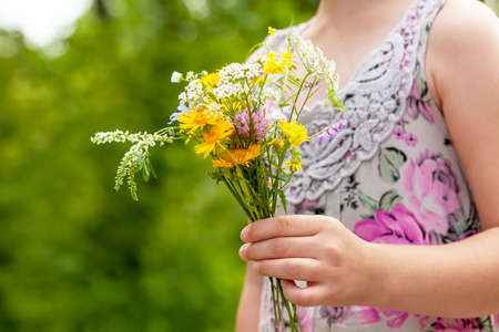 Anonymous little young girl, school age child picking, gathering flowers, fresh field herbs, plants, holding a bunch of flowers in hand, detail, hands closeup, one person. Children and nature conceptの写真素材