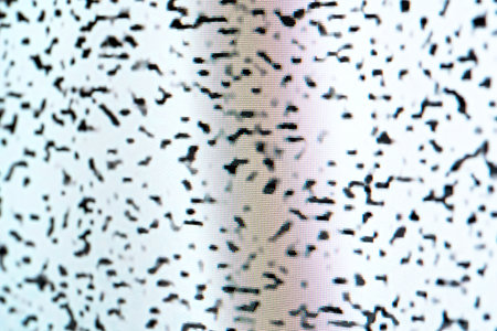 Old LCD color TV screen black and white noise grain up close, detail. Lost signal, interrupted broadcast end simple abstract concept, background texture, nobody. Display, pixels visible, side viewの写真素材