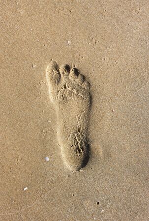 footprint on beach sandの写真素材