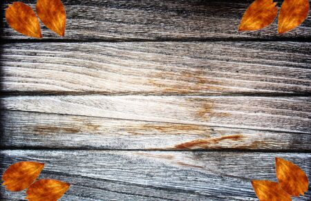 wood background with autumn leafの写真素材