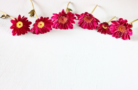 flowers on white textured wood backgroundの写真素材