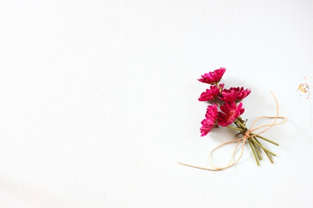 flowers on white textured wood backgroundの写真素材