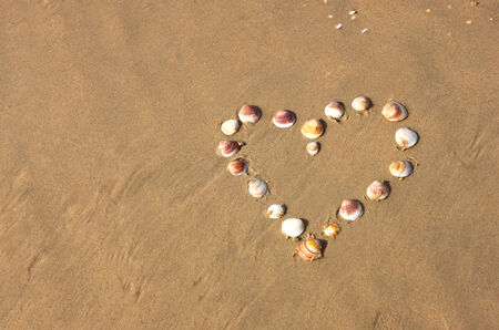 heart shape made from sea shells on sandy beach  room for text の写真素材