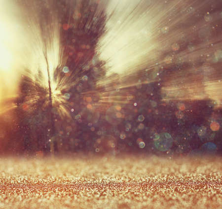 abstract photo of light burst among trees and glitter bokeh lights  image is blurred and filtered    の写真素材