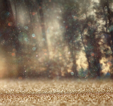 abstract photo of light burst among trees and glitter bokeh lights  image is blurred and filtered    の写真素材