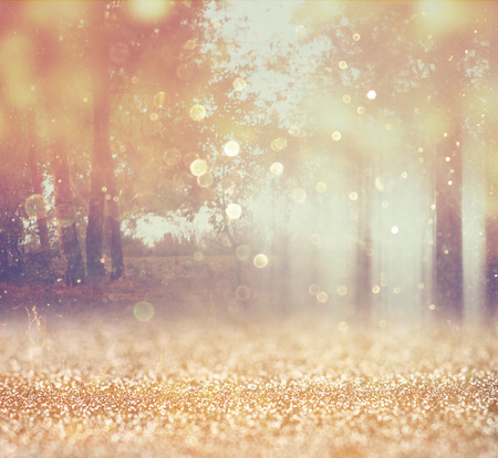 blurred abstract photo of light burst among trees and glitter bokeh lights  filtered image and textured   の写真素材