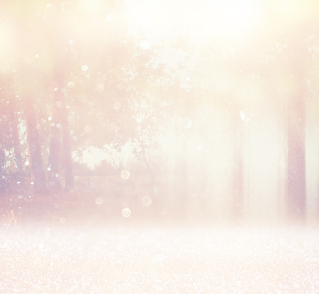 blurred abstract photo of light burst among trees and glitter bokeh lights  filtered image and textured   の写真素材