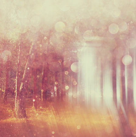 blurred abstract photo of light burst among trees and glitter bokeh lights  filtered image and textured   の写真素材