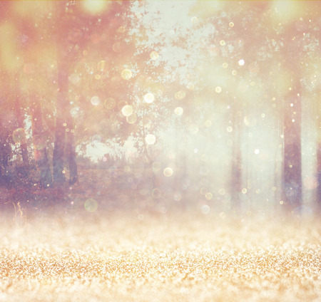 blurred abstract photo of light burst among trees and glitter bokeh lights  filtered image and textured   の写真素材