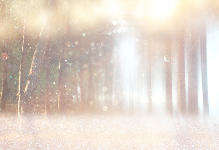 blurred abstract photo of light burst among trees and glitter bokeh lights  filtered image and textured   の写真素材