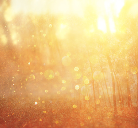 abstract photo of light burst among trees and glitter bokeh lights  filtered image and textured  image is blurred の写真素材