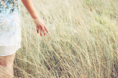 closeup of a woman hand touching tall grass in field. selective focusの写真素材