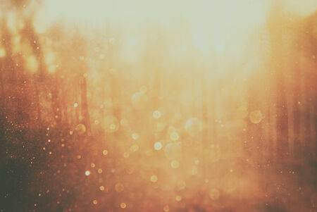 background image of light burst among trees.