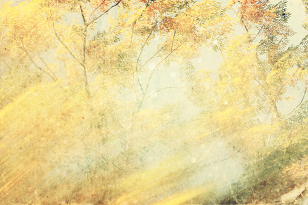 blurred abstract photo の写真素材