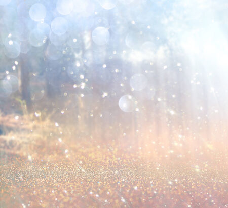 abstract photo of light burst among trees and glitter bokeh lights. image is blurred and filtered .の写真素材