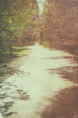open road view in the forest. vintage process, ready for typographyの写真素材