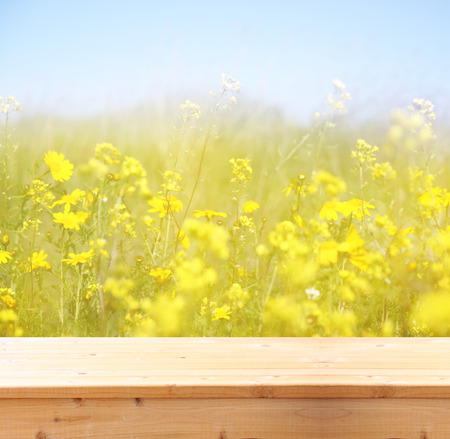 wood board table in front of summer landscape with double exposure of flower field bloomの写真素材