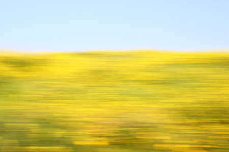 abstract blurred background with floral bokeh view . ready for typography motion blur