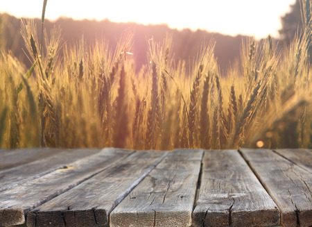 wood board table in front of field of wheat on sunset light. Ready for product display montagesの写真素材