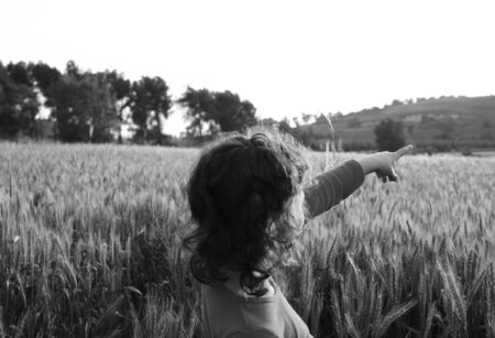 back side of happy kid looking at the sunset in wheat field , explore and adventure concept. black and whiteの写真素材