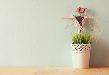 vintage Flower pot and Scarecrow against mint wallの写真素材