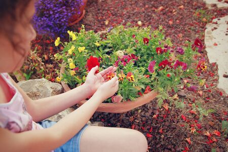 unique perspective of girl sitting at garden looking at flowersの写真素材