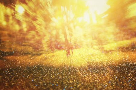 abstract photo of light burst among trees and glitter bokeh lights. blurred and filteredの写真素材