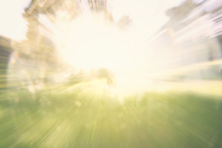 blurred abstract photo of light burst among trees and glitter bokeh lights. filtered image and textured.の写真素材