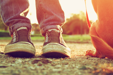 low angle image of person with his dogの写真素材