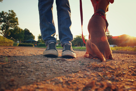 low angle image of person with his dog. selected focus. retro style filterの写真素材