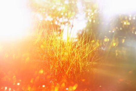 blurred abstract photo of light burst and glitter bokeh lights. filtered image and textured.の写真素材