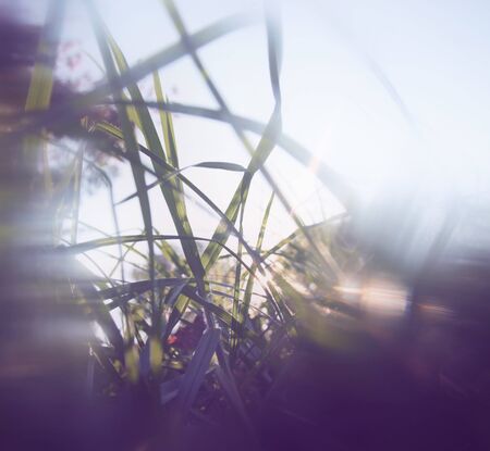 blurred abstract photo of light burst and glitter bokeh lights. filtered image and textured.