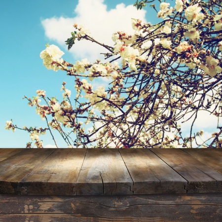 wooden rustic table in front of spring white cherry blossoms tree. vintage filtered image. product display and picnic conceptの写真素材