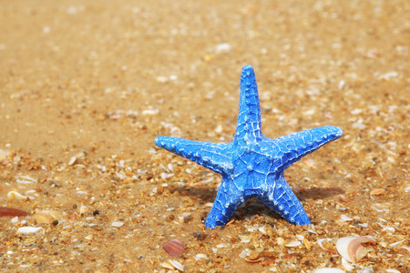 decorative blue starfish on the sea beachの写真素材