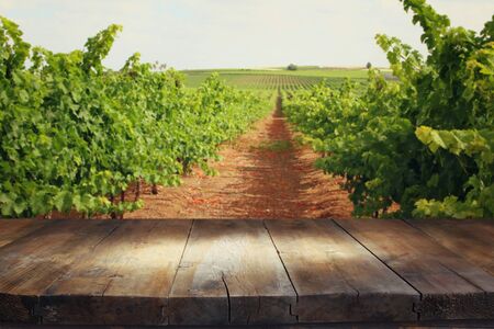 image of wooden table in front of Vineyard landscape. vintage filteredの写真素材