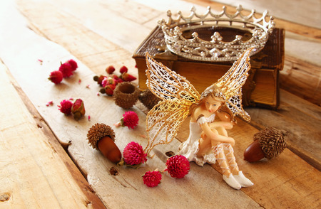 image of magical little fairy in the forest next to old story book and princess crownの写真素材