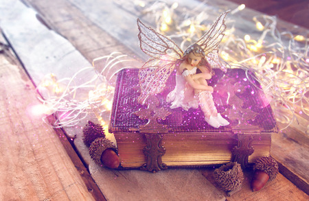 image of magical little fairy in the forest next to old story book. vintage filtered with glitter overlayの写真素材