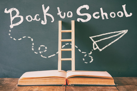 wooden ladder and back to school infographics on blackboard backgroundの写真素材