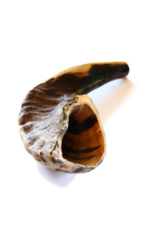 Shofar (horn) isolated on white. Rosh hashanah (jewish New Year holiday) traditional symbol