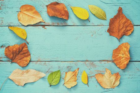 Top view of autumn golden leaves on blue wooden background