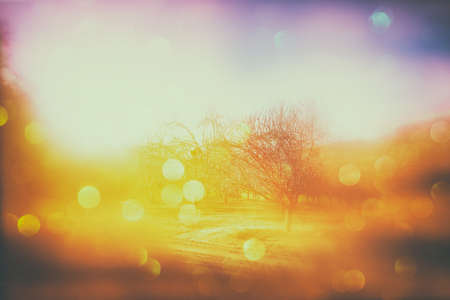 blurred abstract photo of light burst among trees and glitter bokeh lights. filtered image and textured.の写真素材