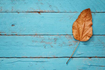 Autumn background with dry leaves on wooden table