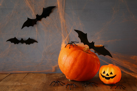 Halloween holiday concept. Cute pumpkin and bats on wooden tableの写真素材