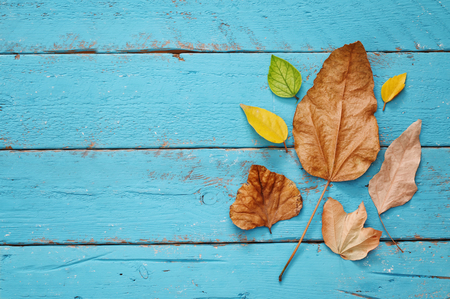 Autumn background with dry leaves on wooden table.の写真素材