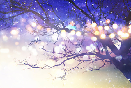 Abstract and magical image of tree with glitter lights. Filtered and toned