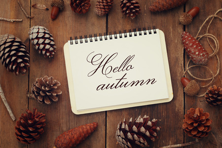 Top view of pine cones and open notebook with text: HELLO AUTUMN,on rustic wooden backgroundの写真素材