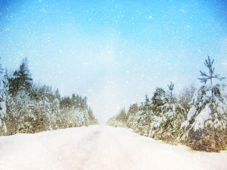 Dreamy and abstract magical winter landscape photo. Glitter overlayの写真素材